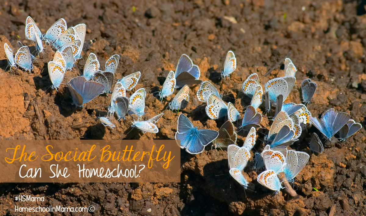 The Social Butterfly – Can She Homeschool?