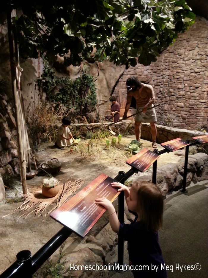 A Homeschool Field Trip - Creation Museum   HomeschoolinMama.com by Meg Hykes