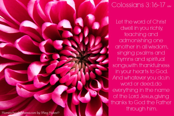 Colossians 3 16 17 HM