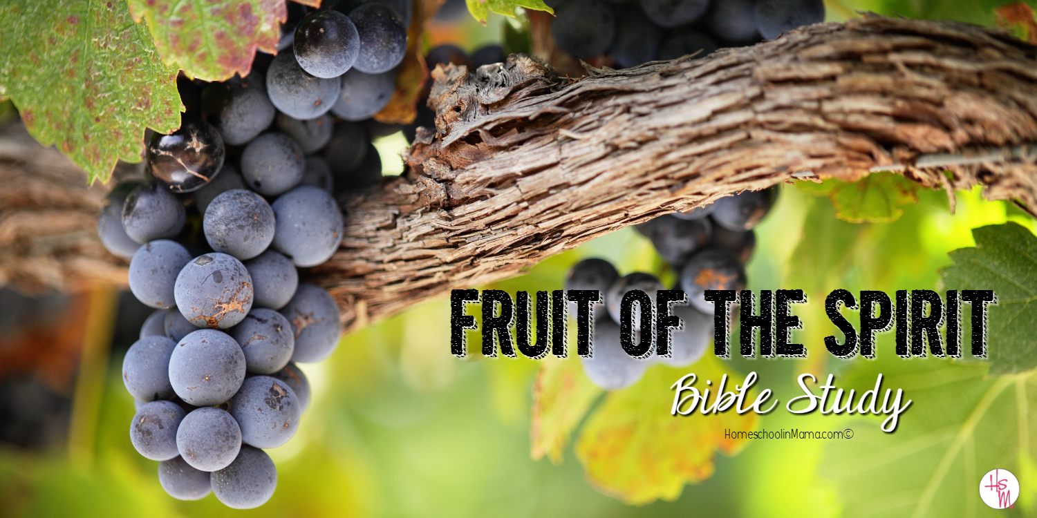 Fruit of the Spirit Bible Study
