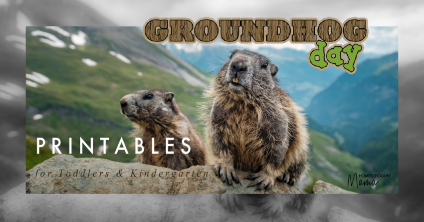groundhog day learning pack printables