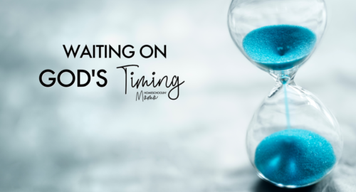 Waiting on God's Time - Homeschoolin' Mama With Meg Hykes